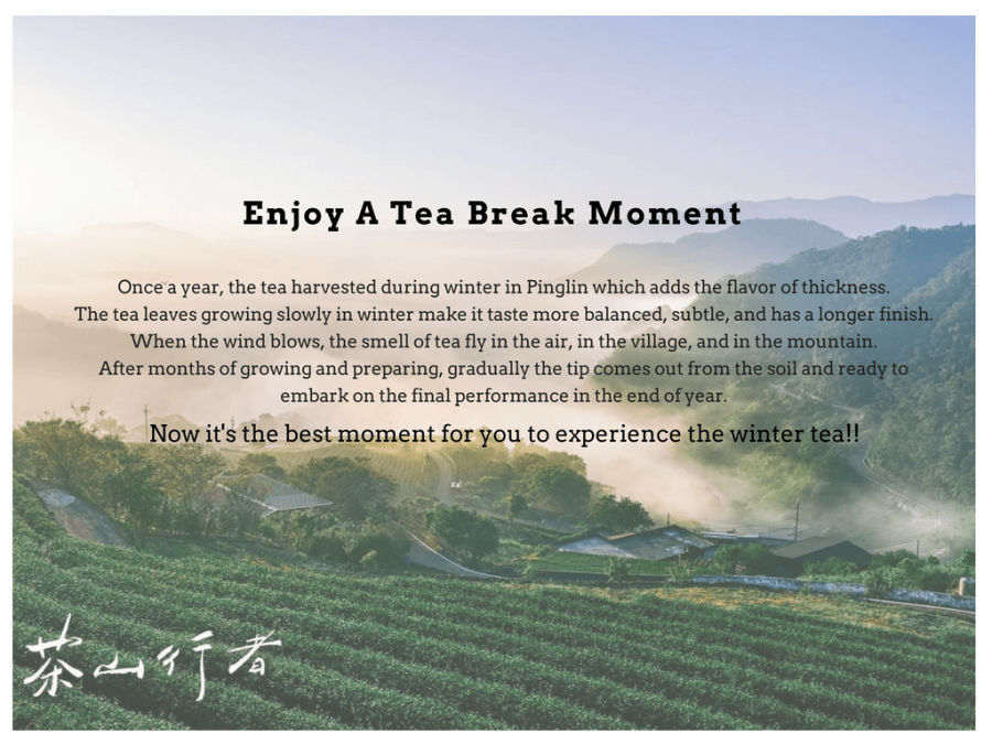 Visit the tea farm in Taipei and enjoy a cup of tea